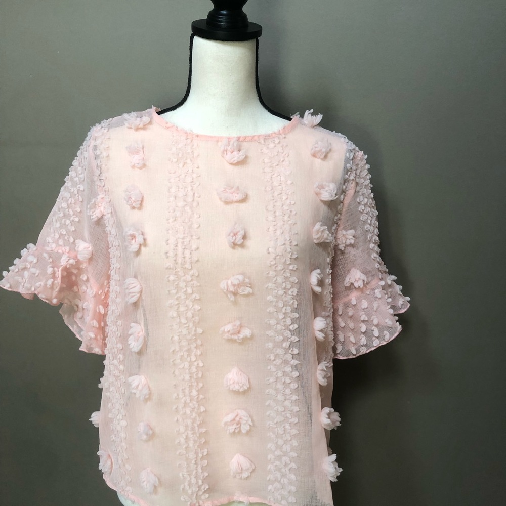 Shein official sheer  pompom blouse - Picture 12 of 14